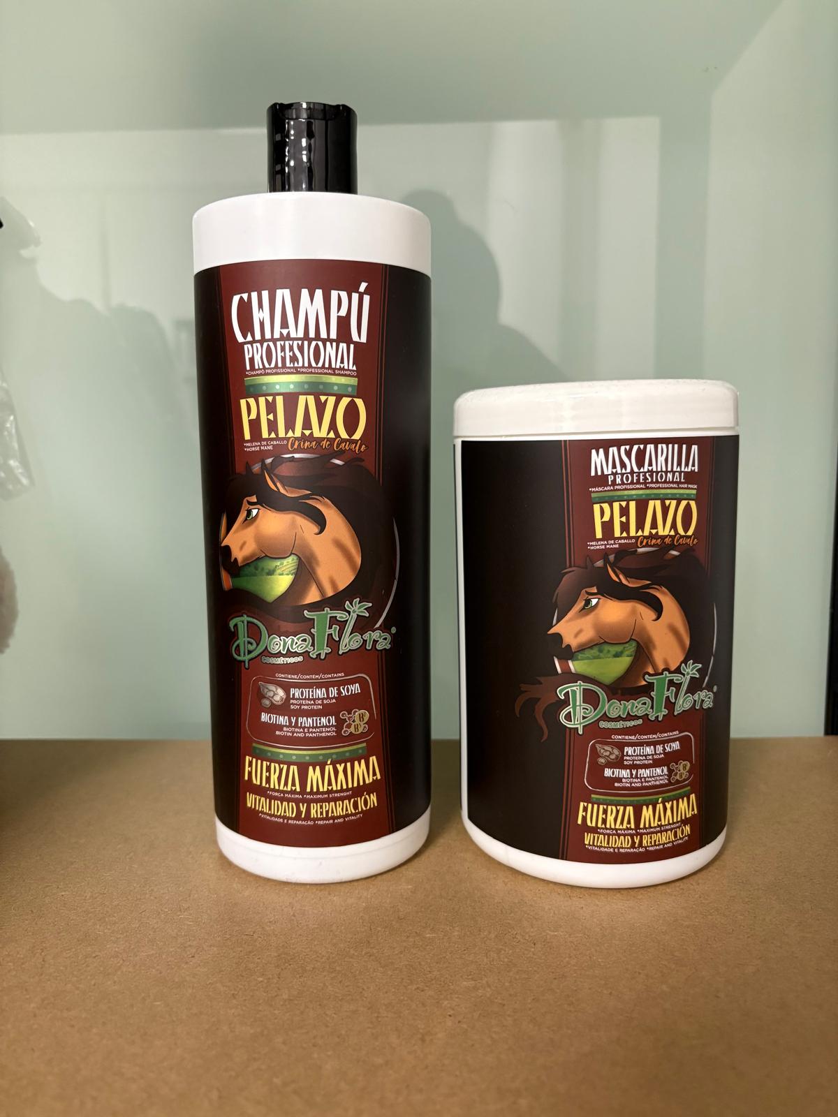 Combo champú y mascarilla cola caballo